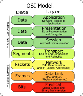 OSI 7 Layer